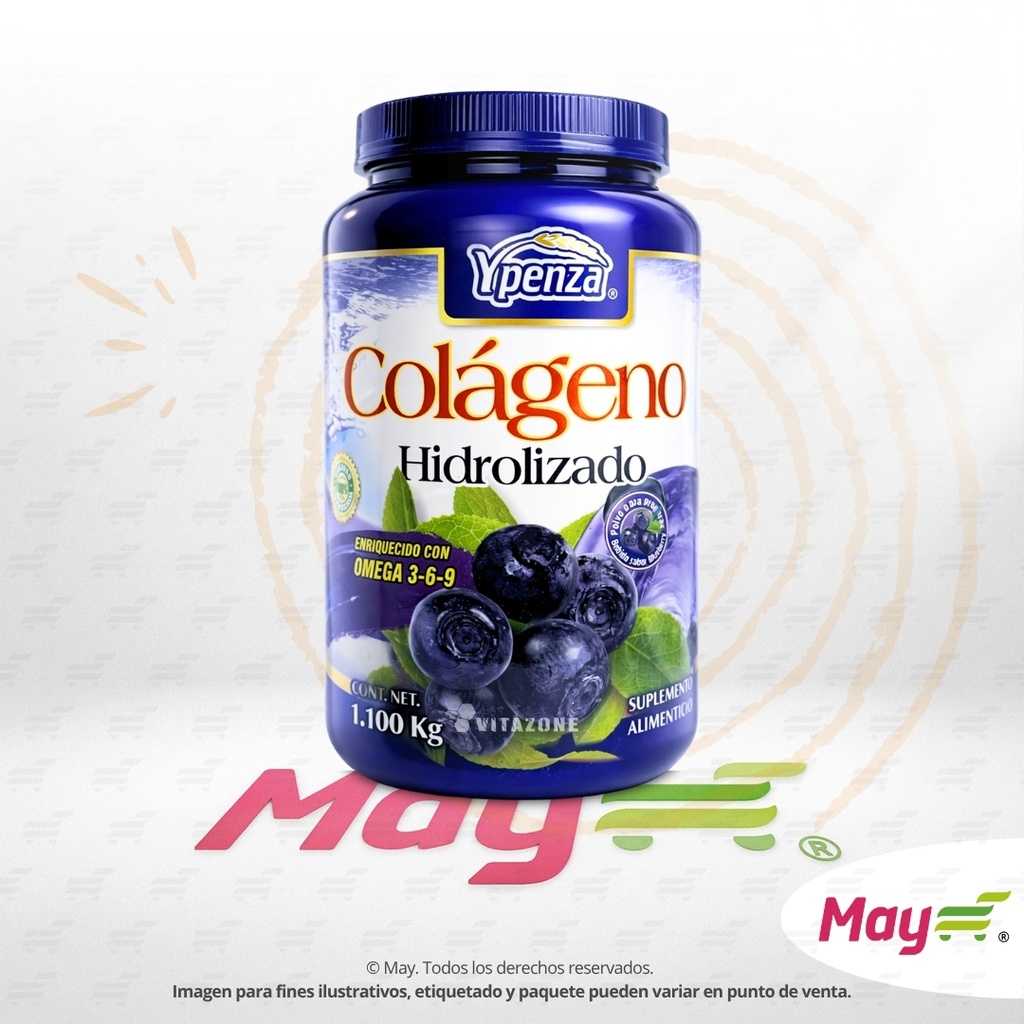 COLAGENO +ACIDO HIALURONICO EXH/60 500 MG
